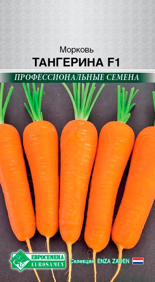 ����  ������ ���������� ������� ��������� F1, 150 ��. Enza Zaden ���������������� ������, ������ �� 75 ���