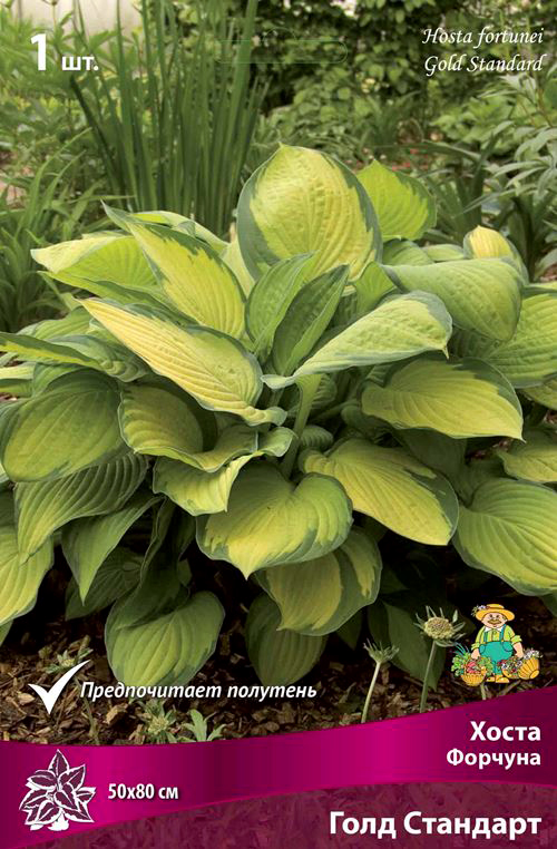 ����  ���������� �������� ����� ��������� ����� ������� ���� ��������, 1 ��., ������ �� 345 ���