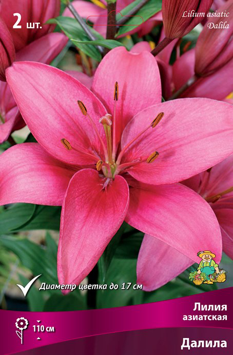 ����  ���������� �������� ����� ��������� ����� ��������� ������, 2 ��., ������ �� 360 ���