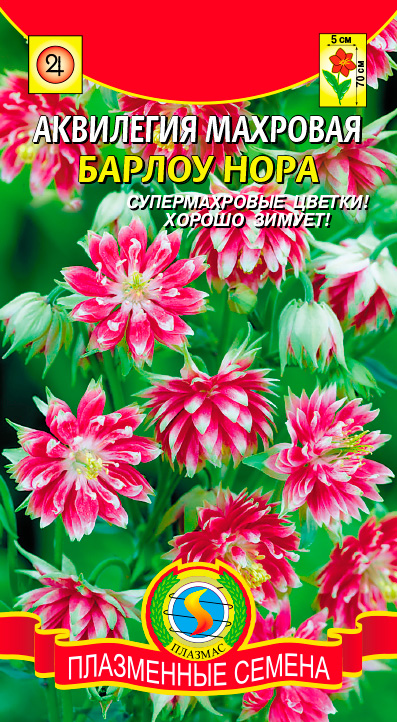 ����  ������ ������� ��������� �������� ������ ����, 9 ��., ������ �� 48 ���