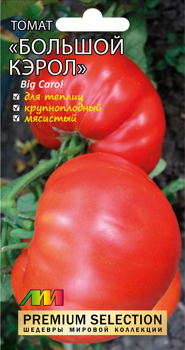 ����  ������ ������ ������ ����������� ����� ������� ������ (Carol Chyko's Big Paste), 5 ��. Premium Selection, ������ �� 115 ���