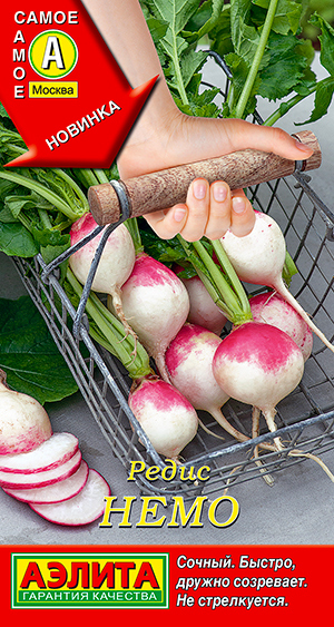 ����  ������ ������ ����� ����, 1 �, ������ �� 35 ���