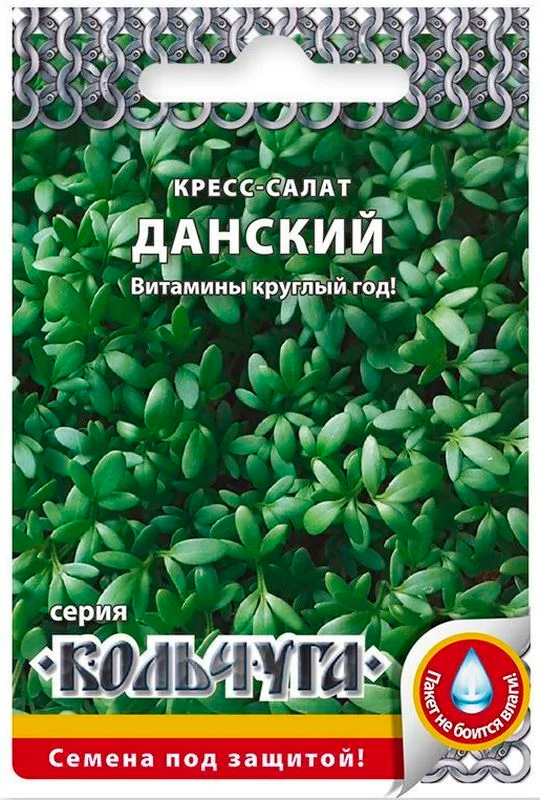 ����  ������ ������� ������ �����-����� �������, 2 � ��������, ������ �� 19 ���