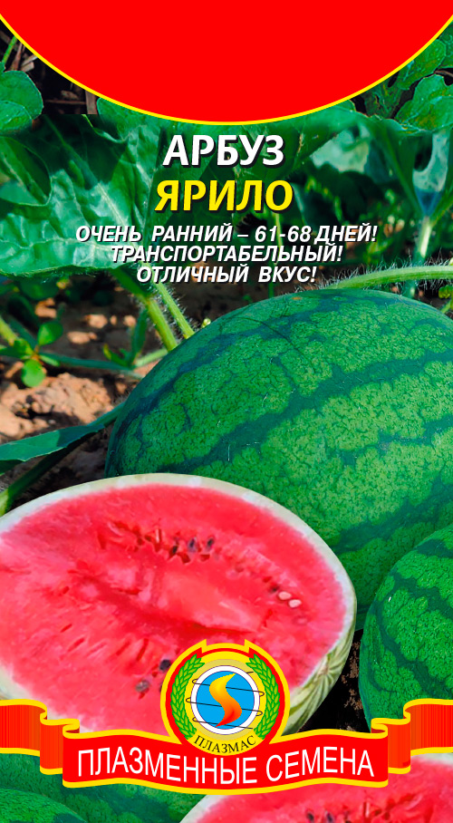 ����  ������ ������� ����� �����, 1 �, ������ �� 37 ���