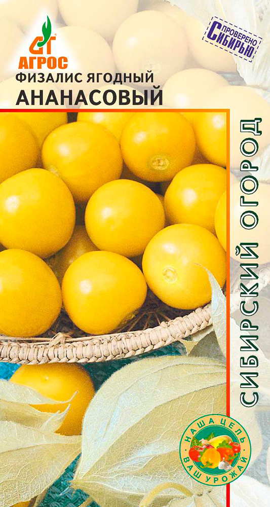 ����  ������ ����� ������� ����������, 0,1 � ��������� �������, ������ �� 45 ���