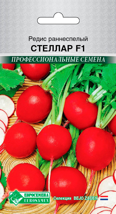 ����  ������ ���������� ����� ������� F1, 0,5 � Bejo Zaden ���������������� ������, ������ �� 75 ���