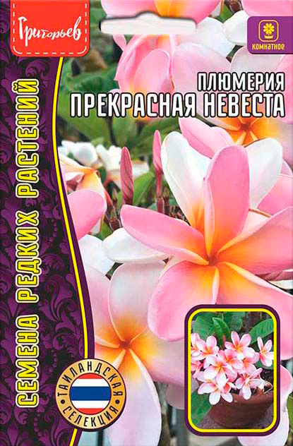 ����  ������ ��������� �������� ���������� �������, 3 ��. ����������� �������� ������ ������ ��������, ������ �� 295 ���