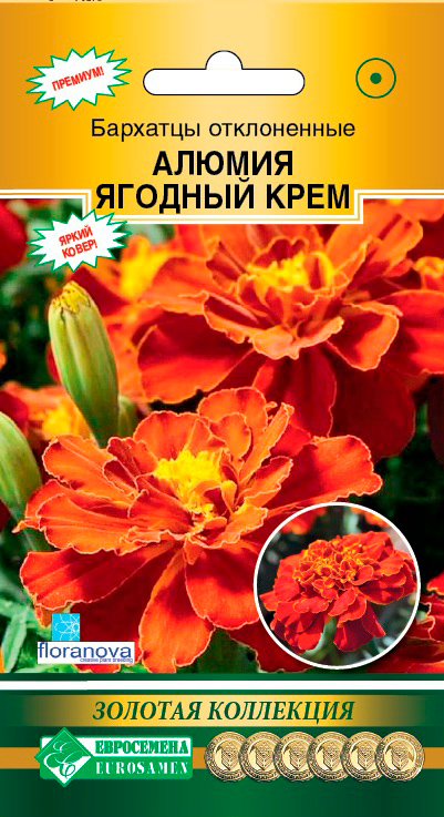 ����  ������ ���������� �������� ����������� ������ ������� ����, 10 ��. Floranova ������� ���������, ������ �� 95 ���