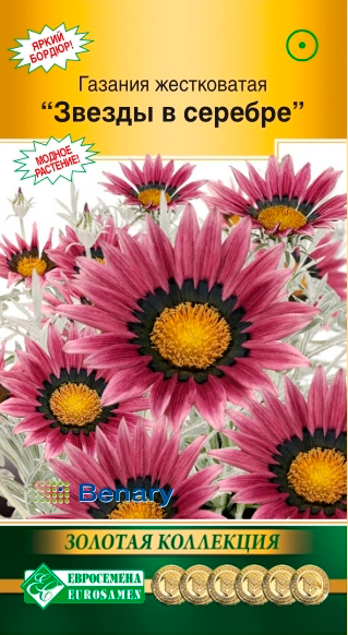 ����  ������ ���������� ������� ������ � �������, 5 ��. Benary ������� ���������, ������ �� 89 ���