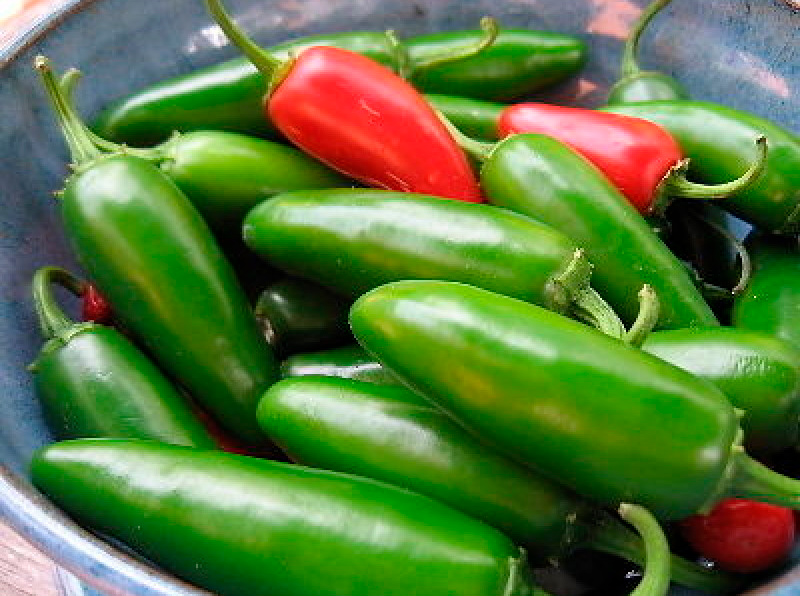 ����  ������ ����� ������ ����� ������ ���������, 5 ��., ������ �� 98 ���