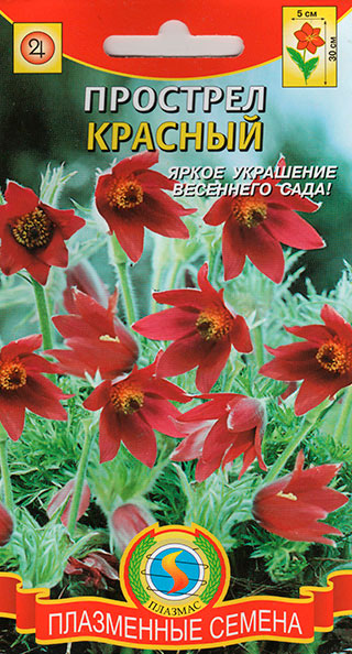 ����  ������ ������� �������� �������, 10 ��., ������ �� 98 ���