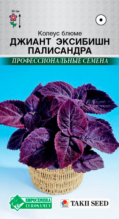 ����  ������ ���������� ������ ����� ������ �������� ����������, 3 ��. Takii ���������������� ������, ������ �� 98 ���