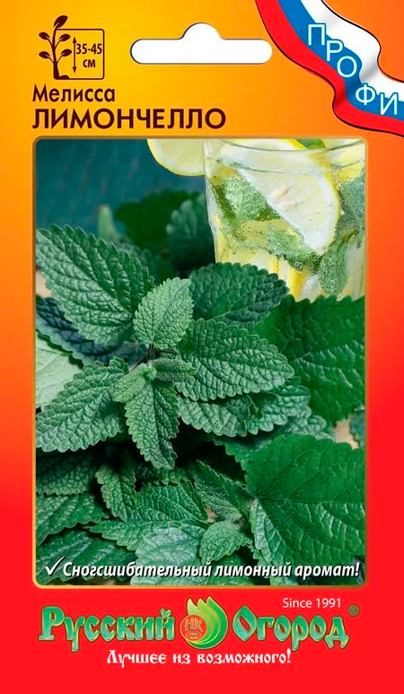 ����  ������ ������� ������ ������� ����������, 5 ��. �����, ������ �� 89 ���