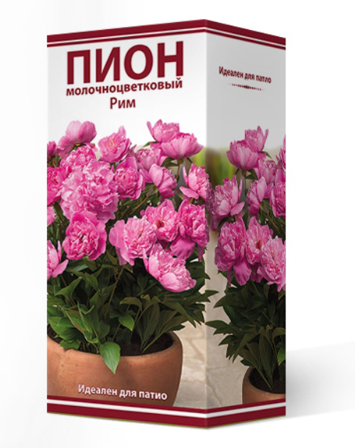 ����  ���������� �������� ����� ��������� ���� ����������� ��� ����� ���, 1 ��., ������ �� 1110 ���