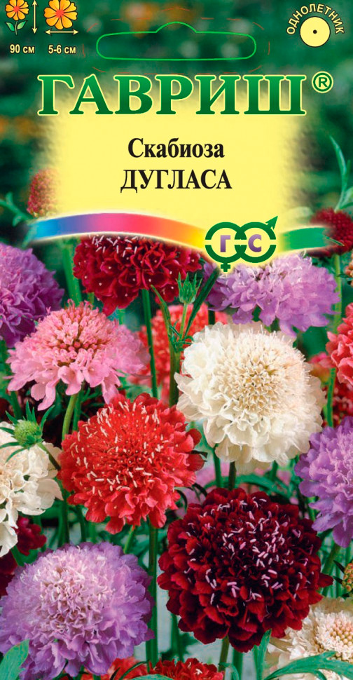 ����  ������ ������ �������� �����-��������� �������� ������, �����, 0,5 �, ������ �� 35 ���