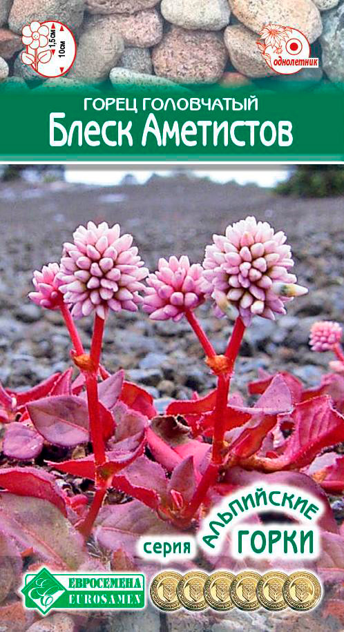 ����  ������ ���������� ����� ���������� ����� ���������, 0,1 � ���������� �����, ������ �� 68 ���