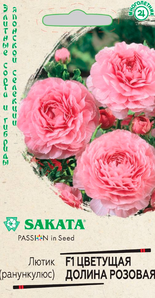         F1, 3 . Sakata     -     , -, 