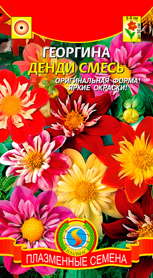 ����  ������ ������� �������� �����, �����, 13 ��., ������ �� 45 ���