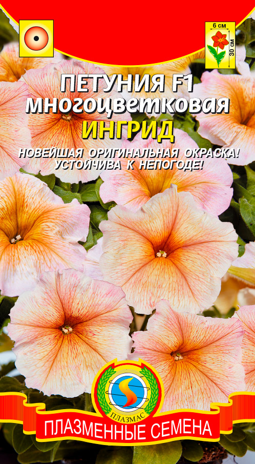 ����  ������ ������� ������� �������������� ������ F1, 10 �����, ������ �� 65 ���