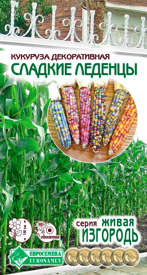 ����  ������ ���������� �������� ������������ ������� �������, 10 ��. ����� ��������, ������ �� 95 ���