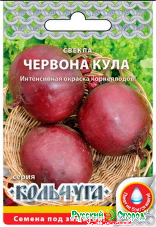 ����  ������ ������� ������ ������ ������� ����, 3 � �������� NEW, ������ �� 23 ���