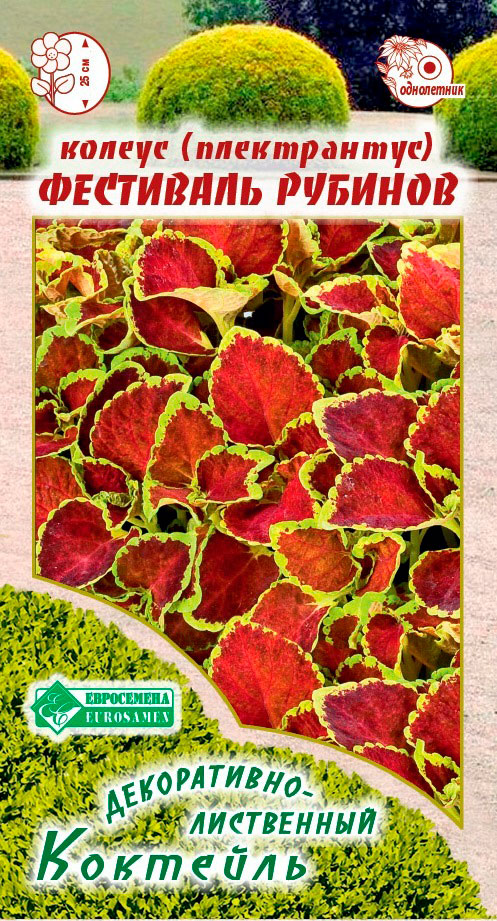 ����  ������ ���������� ������ ����� ��������� �������, 10 ��. Sakata �����������-���������� ��������, ������ �� 95 ���