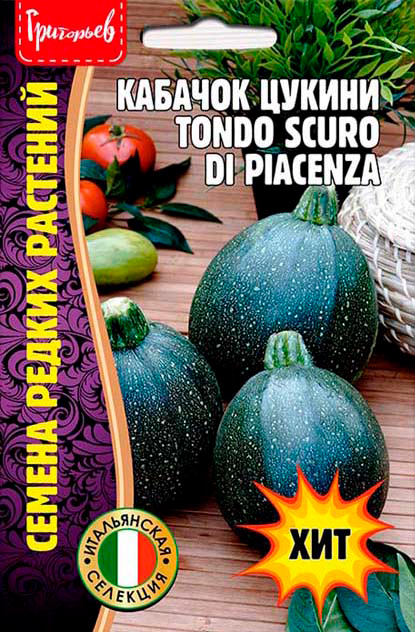 ����  ������ ��������� ������� ������ Tondo Scuro Di Piacenza, 10 ��. ������ ������ ��������, ������ �� 95 ���