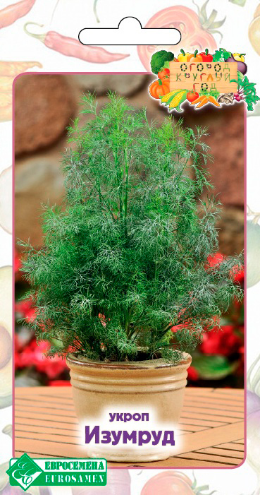 ����  ������ ���������� ����� �������, 1 � ������ ������� ���, ������ �� 57 ���