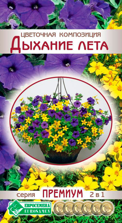 ����  ������ ���������� ��������� ���������� ������� ����, 20 ��. ������� 2 � 1, ������ �� 75 ���