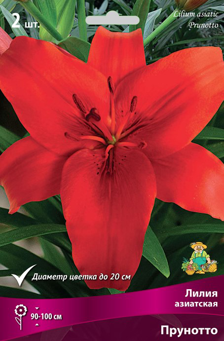 ����  ���������� �������� ����� ��������� ����� ��������� ��������, 2 ��., ������ �� 360 ���