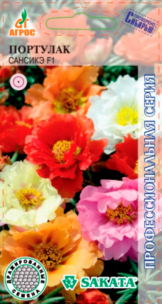       F1, , 5  Sakata  ,   95 