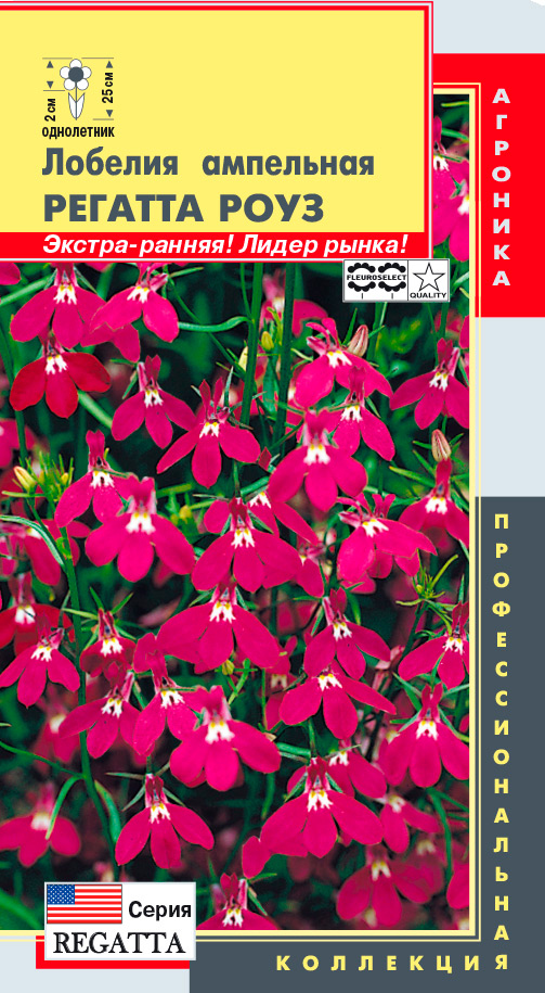 ����  ������ ������� ������� ��������� ������� ����, 8 ����������� ���������������� ���������, ������ �� 75 ���