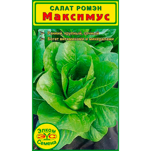 ����  ������ ����� ������ ����� ��������, 15 ��., ������ �� 59 ���