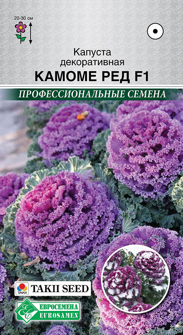 ����  ������ ���������� ������� ������������ ������ ��� F1, 5 ��. Takii ���������������� ������, ������ �� 65 ���