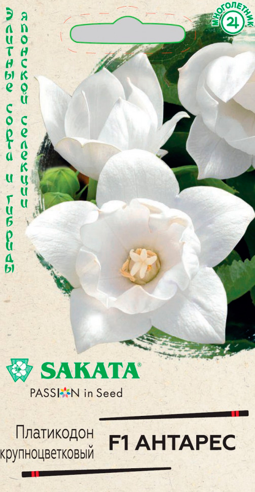       F1, 4 . Sakata     -     , -, 