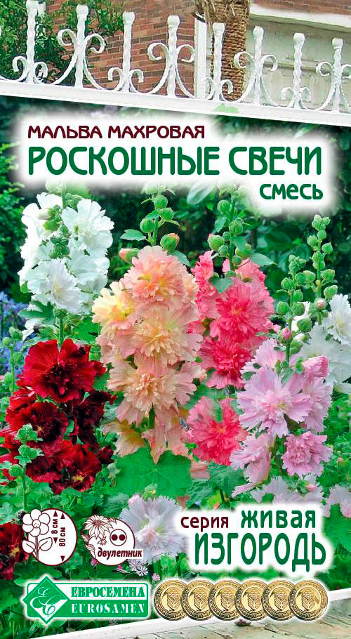 ����  ������ ���������� ������ �������� ��������� �����, �����, 0,2 � ����� ��������, ������ �� 48 ���