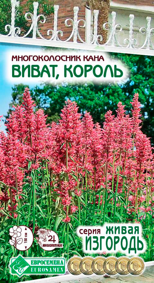 ����  ������ ���������� ������������� ���� �����, ������, 10 ��. ����� ��������, ������ �� 65 ���