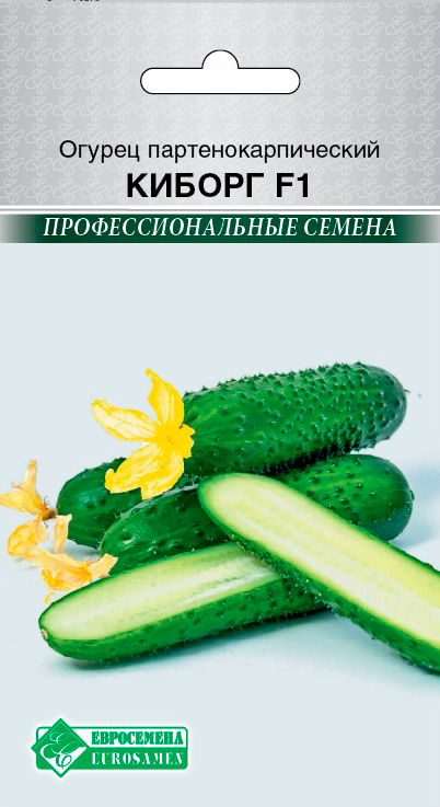 ����  ������ ���������� ������ ������ F1, 5 ��. ���������������� ������, ������ �� 149 ���