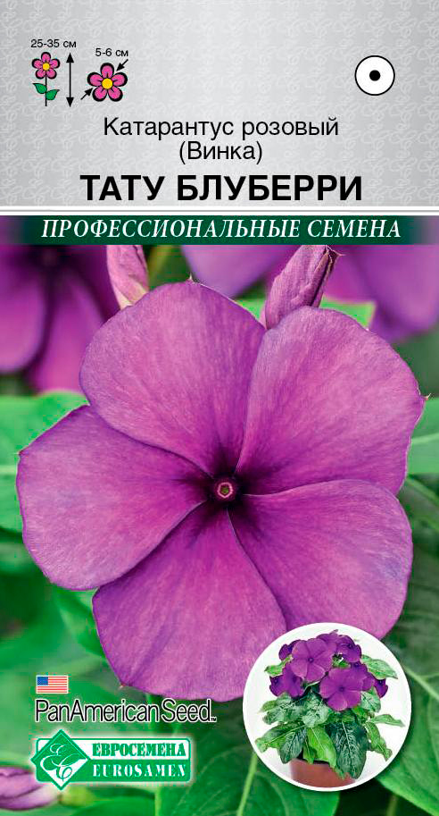       ()  , 5 . PanAmSeeds  ,   125 