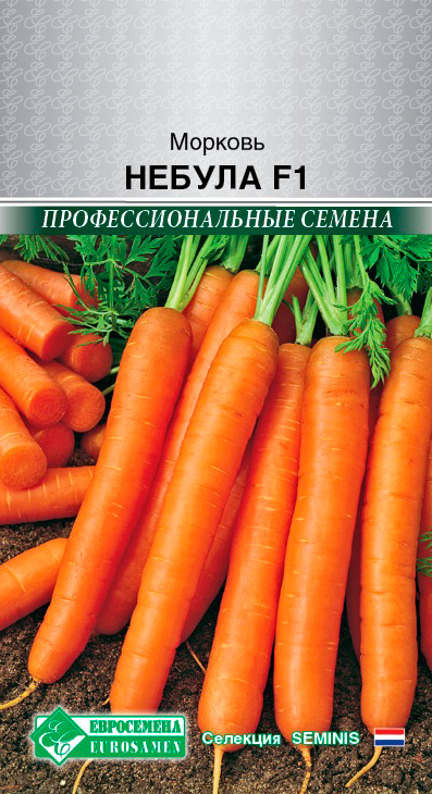 ����  ������ ���������� ������� ������ F1, 150 ��. Seminis ���������������� ������, ������ �� 75 ���