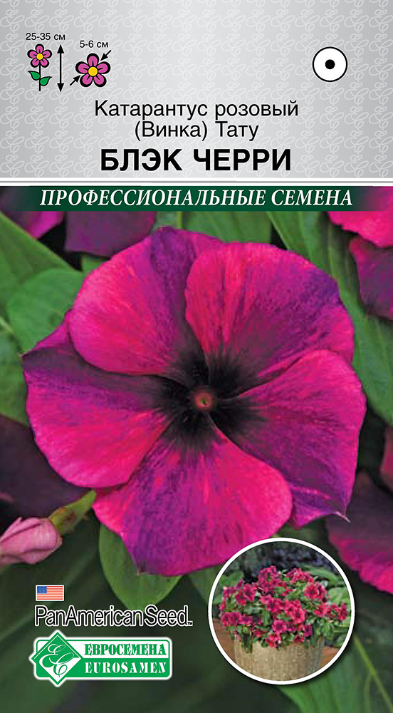 ����  ������ ���������� ���������� ������� (�����) ���� ���� �����, 5 ��. PanAmSeeds ���������������� ������, ������ �� 125 ���