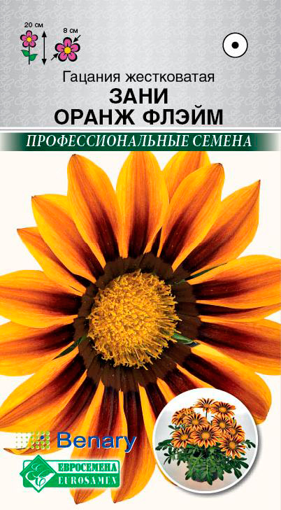 ����  ������ ���������� ������� ����������� ���� ����� �����, 3 ��. Benary ���������������� ������, ������ �� 75 ���