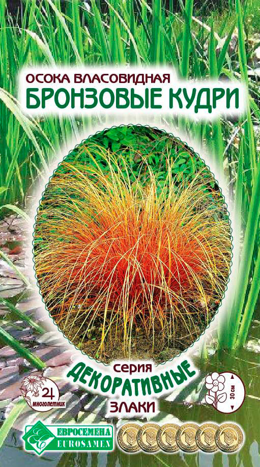 ����  ������ ���������� ����� ����������� ��������� �����, 5 ��. ������������ �����, ������ �� 98 ���