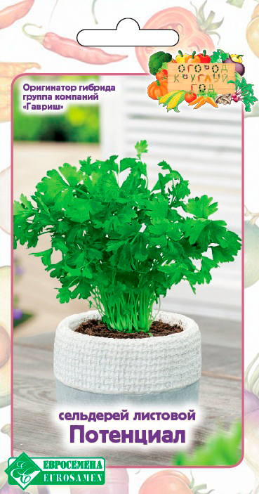 ����  ������ ���������� ��������� �������� ���������, 0,5 � ������ ������� ���, ������ �� 45 ���