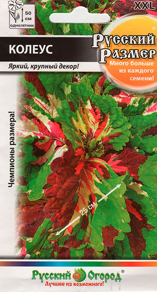 ����  ������ ������� ������ ������ ������� ������, 4 ��., ������ �� 198 ���