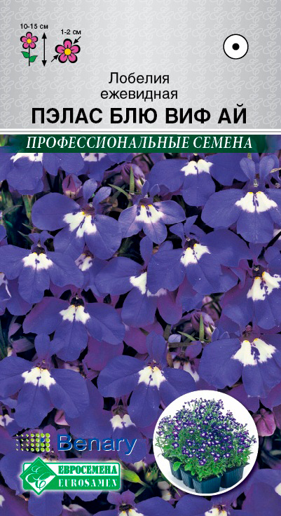 ����  ������ ���������� ������� ����� ��� ��� �� 10 ����� Benary ���������������� ������, ������ �� 75 ���