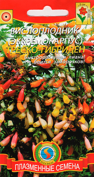 ����  ������ ������� ������������ (�������������) ������-��������, 0,02 �, ������ �� 38 ���