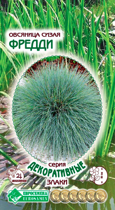 ����  ������ ���������� �������� ����� ������, 10 ��. ������������ �����, ������ �� 75 ���