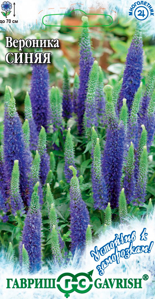 ����  ������ ������ �������� ������������� �����, 0,05 � �������� � ����������!, ������ �� 35 ���