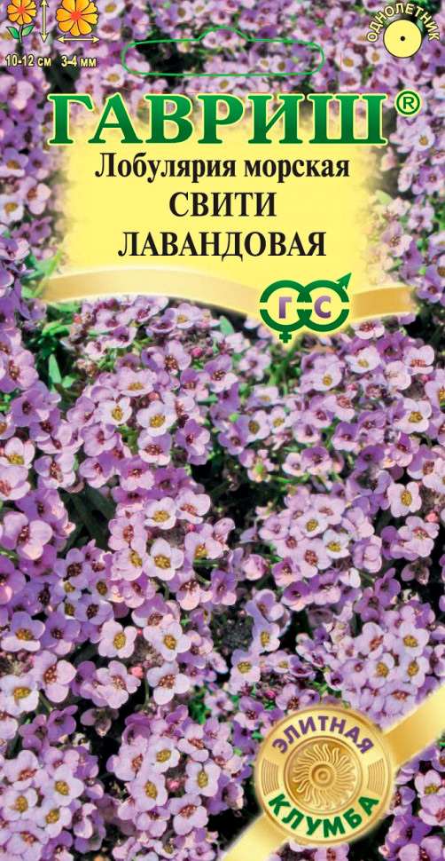 ����  ������ ������ ��������� ����� ����������, 15 ��. ������� ������, ������ �� 48 ���